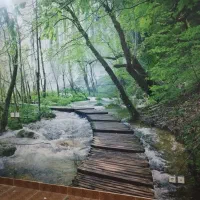 نصبوفروش انواع کاغذدیواری روز جهان|خدمات پیشه و مهارت|بانه, |دیوار