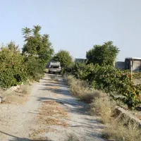 فروش باغ به متراژ 2060متر با زمین تجاری|فروش مغازه و غرفه|شیراز, کوشک بیدک|دیوار