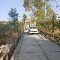 اجاره باغ ویلا در باغ نشاط|اجارهٔ کوتاه‌مدت ویلا و باغ|شیراز, بید زرد|دیوار