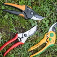 هرس حرفه ای انواع درختان میوه و سایه