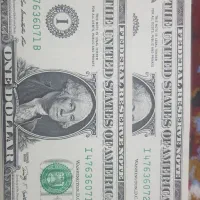 جفت دلار نو