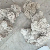 سنگ ددراک اکواریوم اب شور