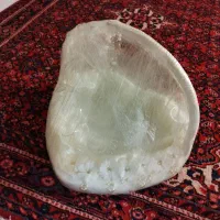 ست بله برون نو