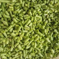 لوبیا سبز و بامیه تازه