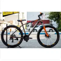 دوچرخه بلست مدل الپینا