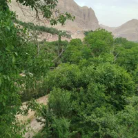 اجاره روزانه/هفتگی/ماهانه آپارتمان ۵۰ متری|اجارهٔ کوتاه‌مدت آپارتمان و سوئیت|چناران, |دیوار