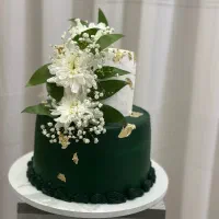 کیک تولد درجه یک و کافی شاپی فقط کیلویی ۳۱۰تومن|خدمات پذیرایی، مراسم|مشهد, ولیعصر (شهرک غرب)|دیوار