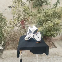 کتونی نایک|کیف، کفش، کمربند|مشهد, امیر آباد|دیوار