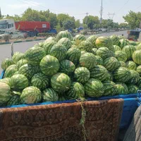هندوانه