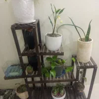 ،استند گلدان