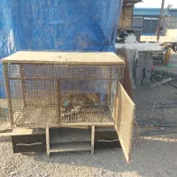 قفس آهنی بسیار محکم