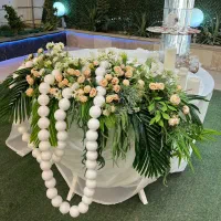 جایگاه عروسی|خدمات پذیرایی، مراسم|بندرعباس, |دیوار