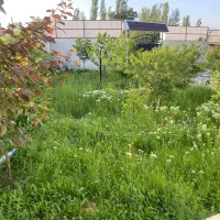 مالک|فروش خانه و ویلا|صوفیان, |دیوار