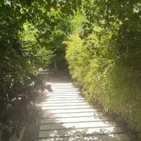 زیر قیمت. به دلیل نیاز مالی.۳خواب _۱۸۷متری