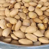 بادام تازه|خوردنی و آشامیدنی|تهران, اسکندری|دیوار