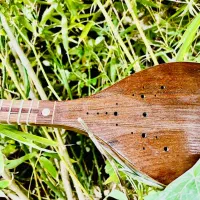 ساز ستار|سازهای سنتی|شیراز, دکتر حسابی|دیوار