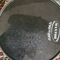 سایدرام درحدنوهمراه باچوب