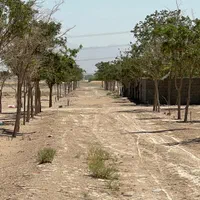 فروش زمین ۶۰۰ متری در سهیلیه، زعفرانیه، کامرانیه