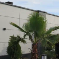 پیک بدون موتور با صامن معتبر