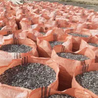 تخمهتازهدرشت|خوردنی و آشامیدنی|مشکیندشت, |دیوار