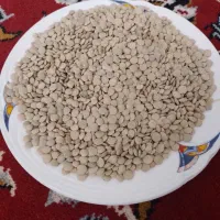 عدس و نخود محلی|خوردنی و آشامیدنی|مشکین‌دشت, |دیوار