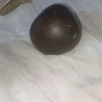 شهاب سنگ|کلکسیون اشیاء عتیقه|شیراز, درکی|دیوار