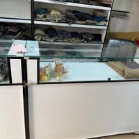 ویترین قفسه پیشخوان|فروشگاه و مغازه|قرچک, مهدیه|دیوار