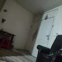 همخونه خانم