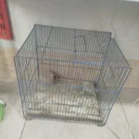 قفس پرنده