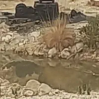 زمین آبی باتلمبه|فروش دفتر صنعتی، کشاورزی، تجاری|لنده, |دیوار