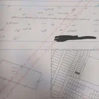 زمین کوتشیخ