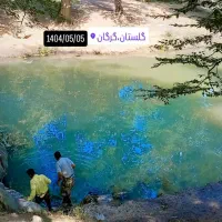 مسافردربست تهران گرگان بابلسرتاکسی آژانس راننده سو|خدمات حمل و نقل|مشهد, شهرک رازی (شهرک غرب)|دیوار