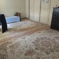 دوجفت فرش 12متری