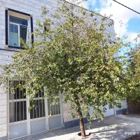 سوییت ویلایی