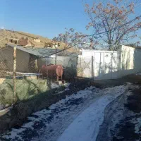 250-متر-زمین-با-100-متر-بنا-ده-ترکمن