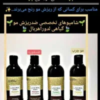 شامپو چرب لدورا|حراج|ارومیه, |دیوار