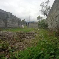 ۳۰۰ متر زمین مسکونی زیر قیمت|فروش زمین و ملک کلنگی|رضوانشهر, |دیوار