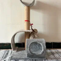 اسکرچر گربه