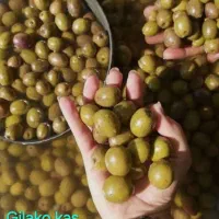 زیتون درجه یک رودبار گیلان|خوردنی و آشامیدنی|رودبار, |دیوار