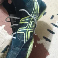 کفش کشتی|کیف، کفش، کمربند|شاهین‌شهر, شهرک گلدیس|دیوار