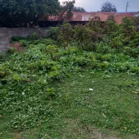 زمین در روستا|فروش زمین و ملک کلنگی|زیرآب, |دیوار