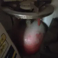 پیکنیک
