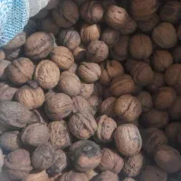 گردو|خوردنی و آشامیدنی|گنبد کاووس, |دیوار