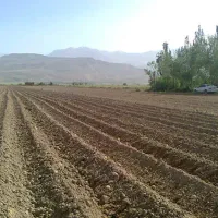 اجاره-یک-هکتار-زمین-کشاورزی