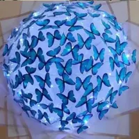 هدیه ای زیبا و رویایی
