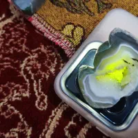 راف عقیق سلیمانی،شجر،باباقوری ودریل انگشتر گوهر بر