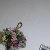 سه عدد گلدون همراه گل
