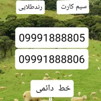 سیم کارت دائمی