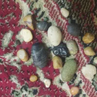 سنگ های قدیمی