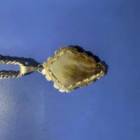 شجر گردنبند کلکسیونی